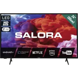 Salora 24HA220