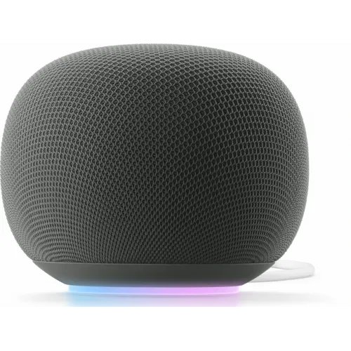 Google Home Speaker Grijs