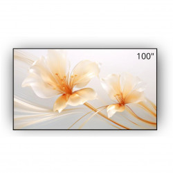 XGIMI Projectorscherm 100